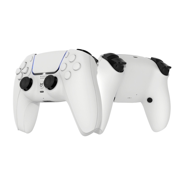 即納】PS5 / PC 対応 カスタムコントローラー ボタンタイプ